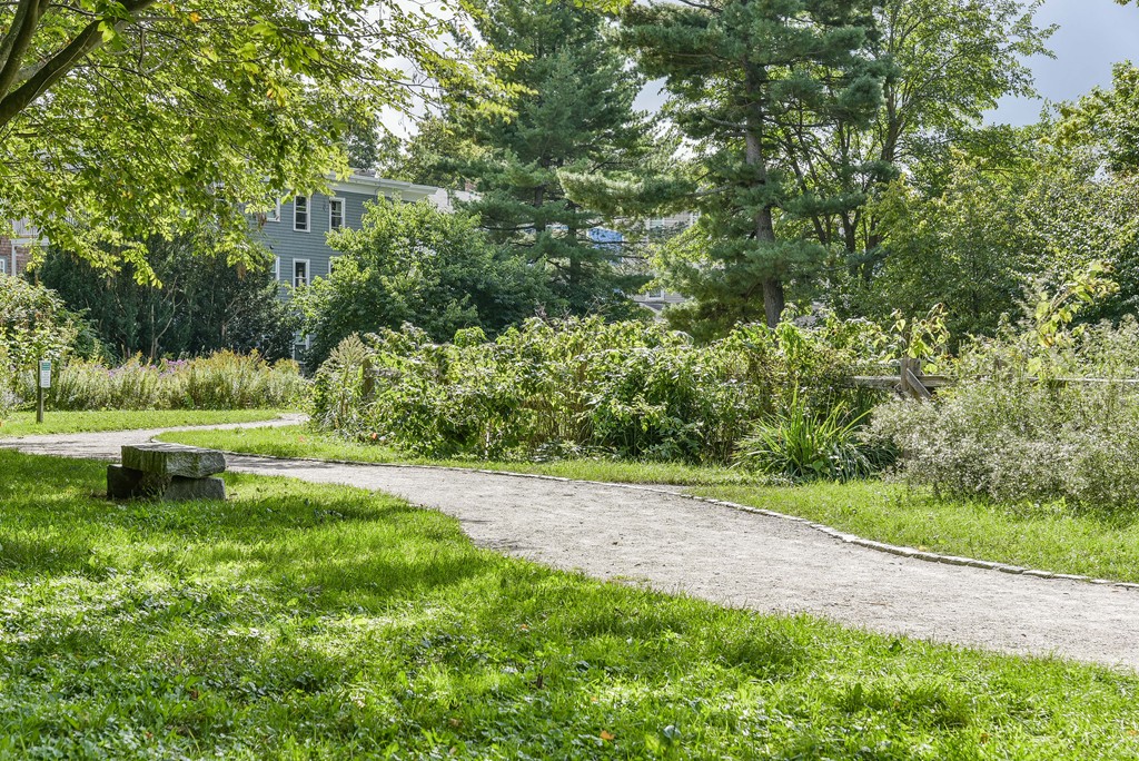 40 Gartland Street, Unit 2 Boston, MA 02130 - Photo 23 of 29