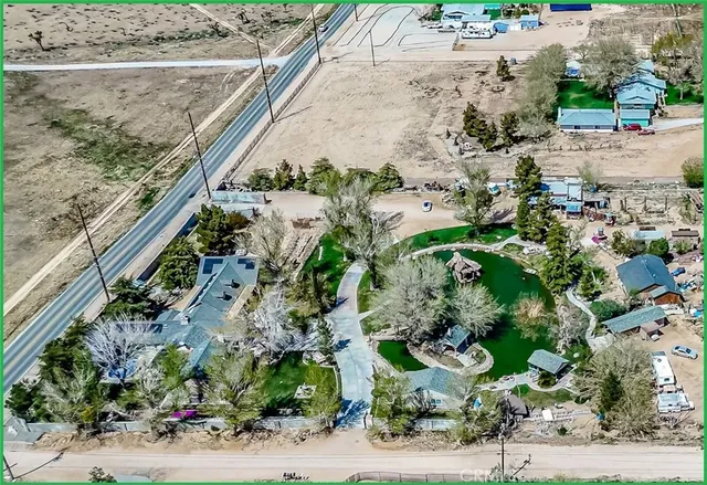 a view of a garden with plants
