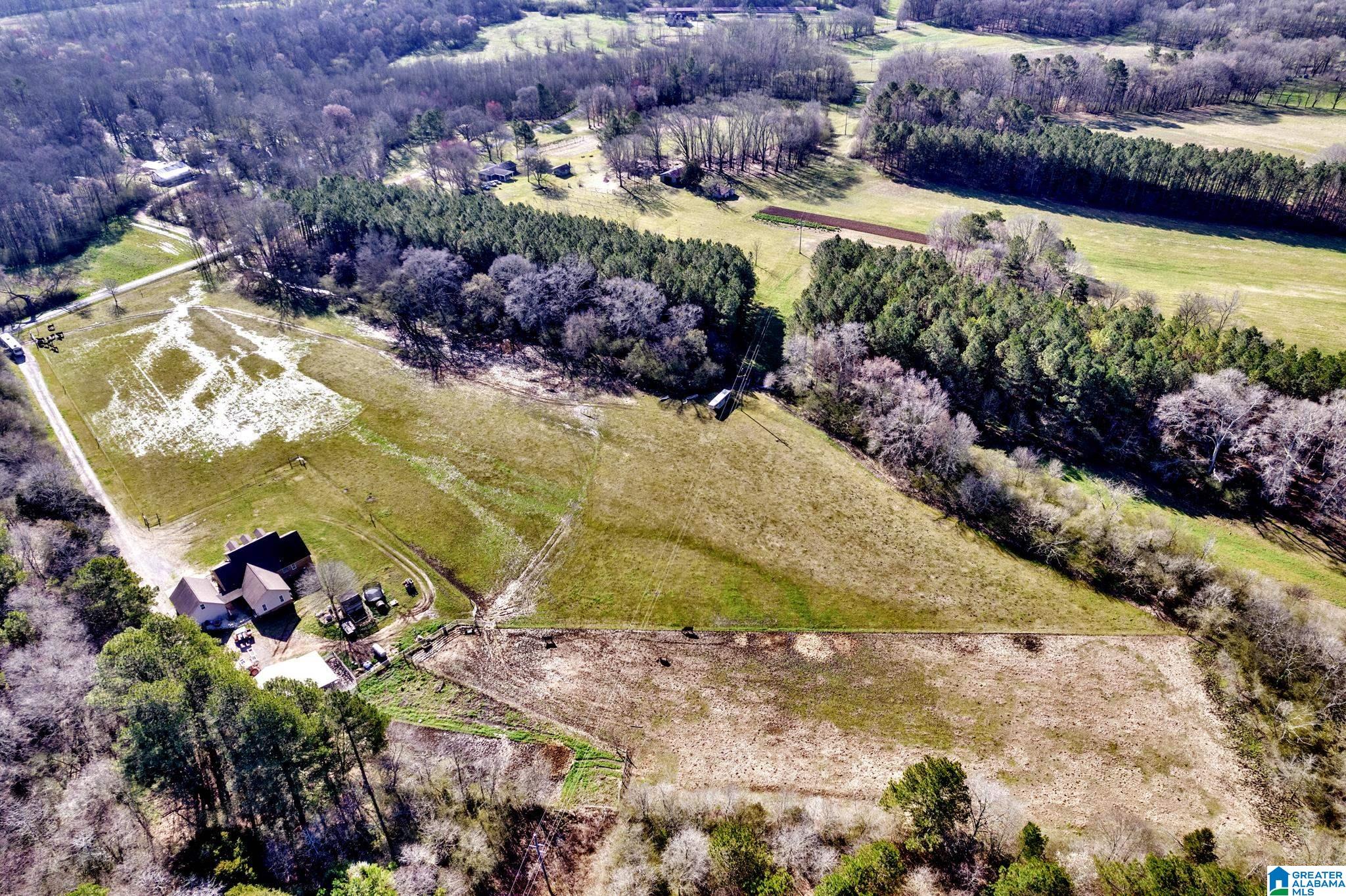 5353 Old Scott Road Blountsville, AL 35031 - Photo 34 of 41