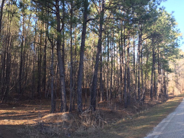 4715 Log Cabin Road Rembert, SC 29128 - Photo 1 of 1 Gallery Image 1