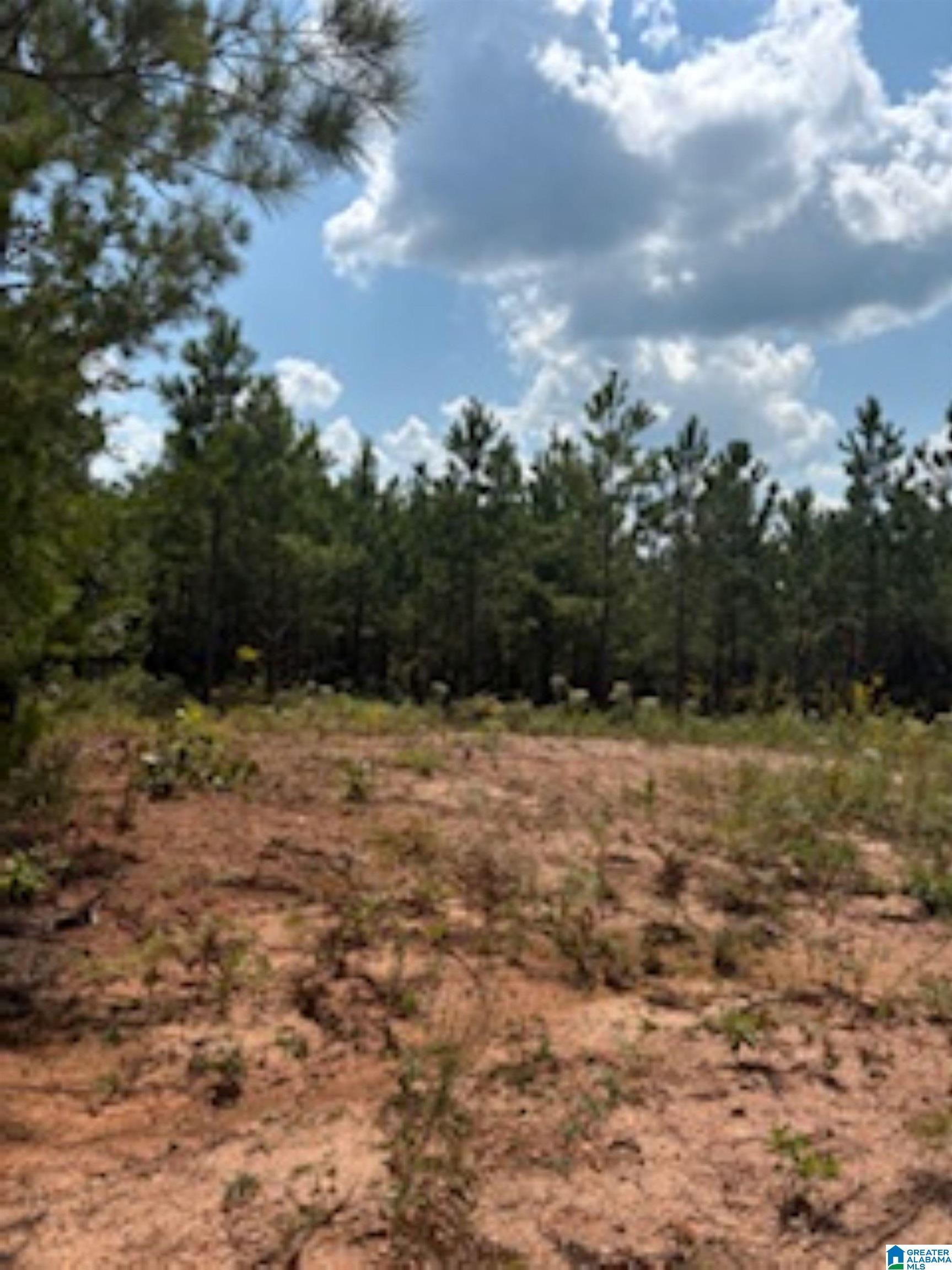 472 County Road, Unit 1 Clanton, AL 35045 - Photo 3 of 6