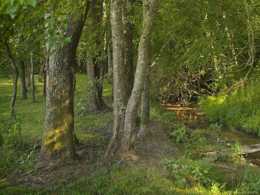 Lot 30 Jake Ridge Trail, Unit 30 Fletcher, NC 28732 - Photo 3 of 9