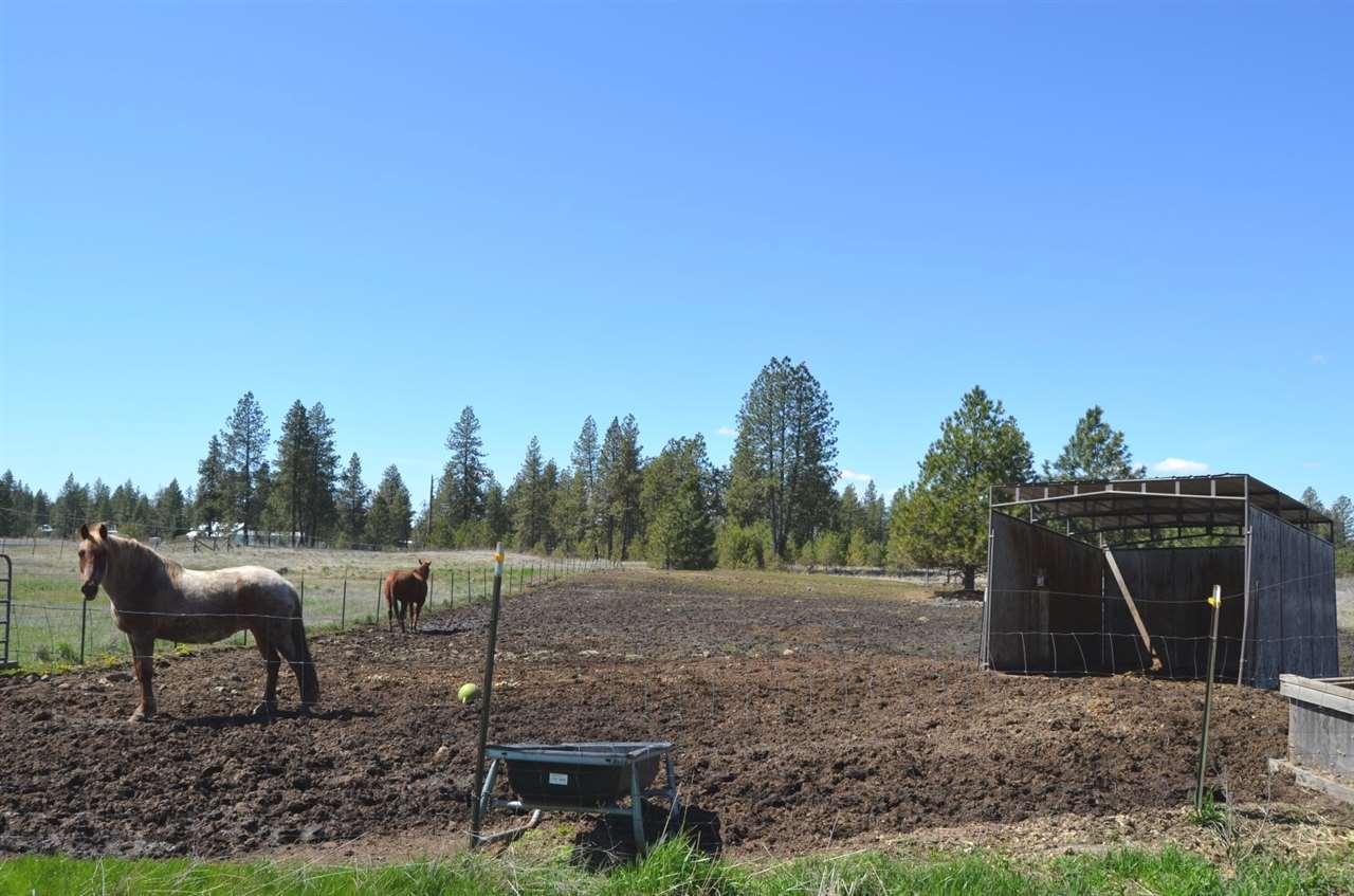 16820 South Dover Road Cheney, WA 99004 - Photo 6 of 20