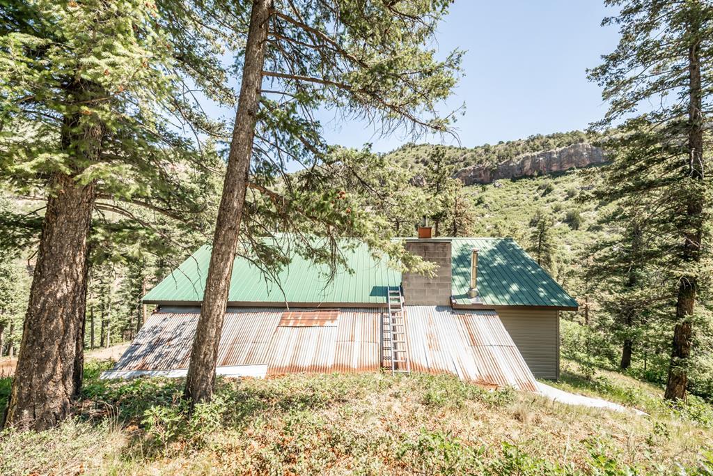 9600 Middle Creek Canyon Road Beulah, CO 81023 - Photo 47 of 50 a view of a backyard