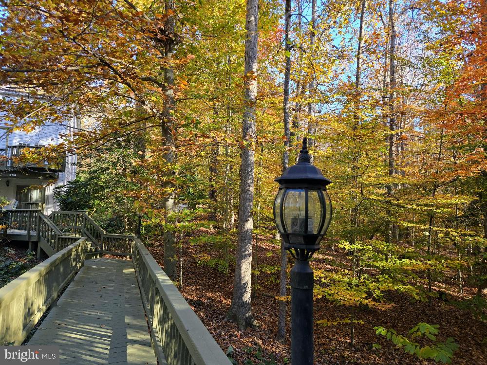 8099 Counselor Road Manassas, VA 20112 - Photo 70 of 82 Boardwalk to pool