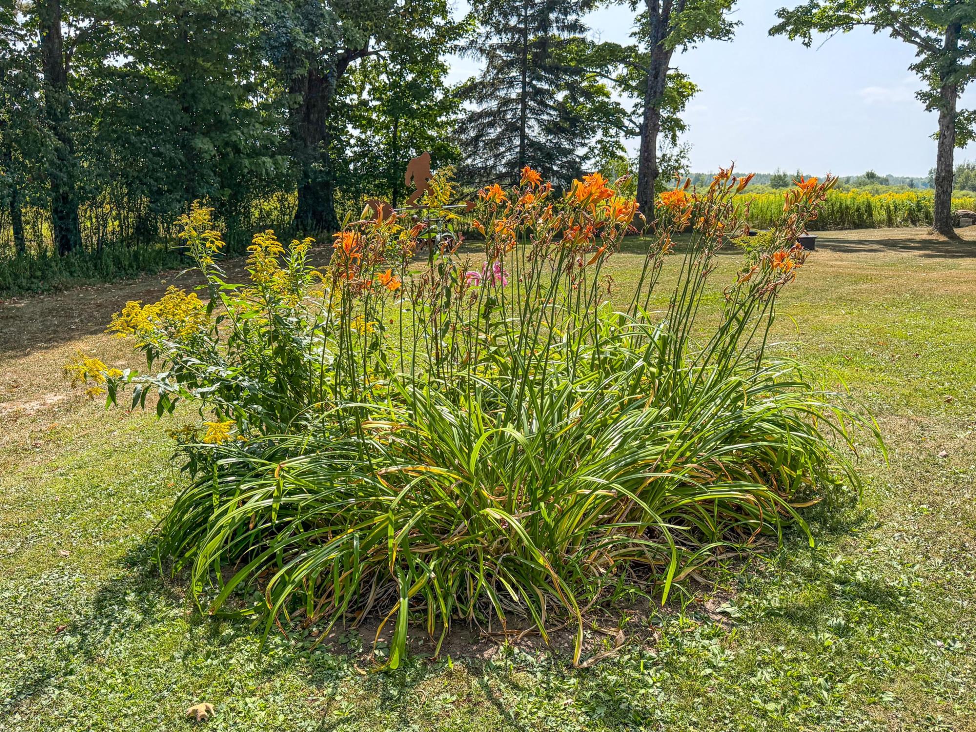 N3979 Oxbow Road Catawba, WI 54515 - Photo 60 of 81 Gallery Image 60