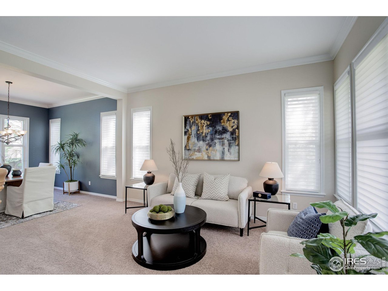 5218 Pinehurst Drive Boulder, CO 80301 - Photo 5 of 39 a living room with furniture and a potted plant
