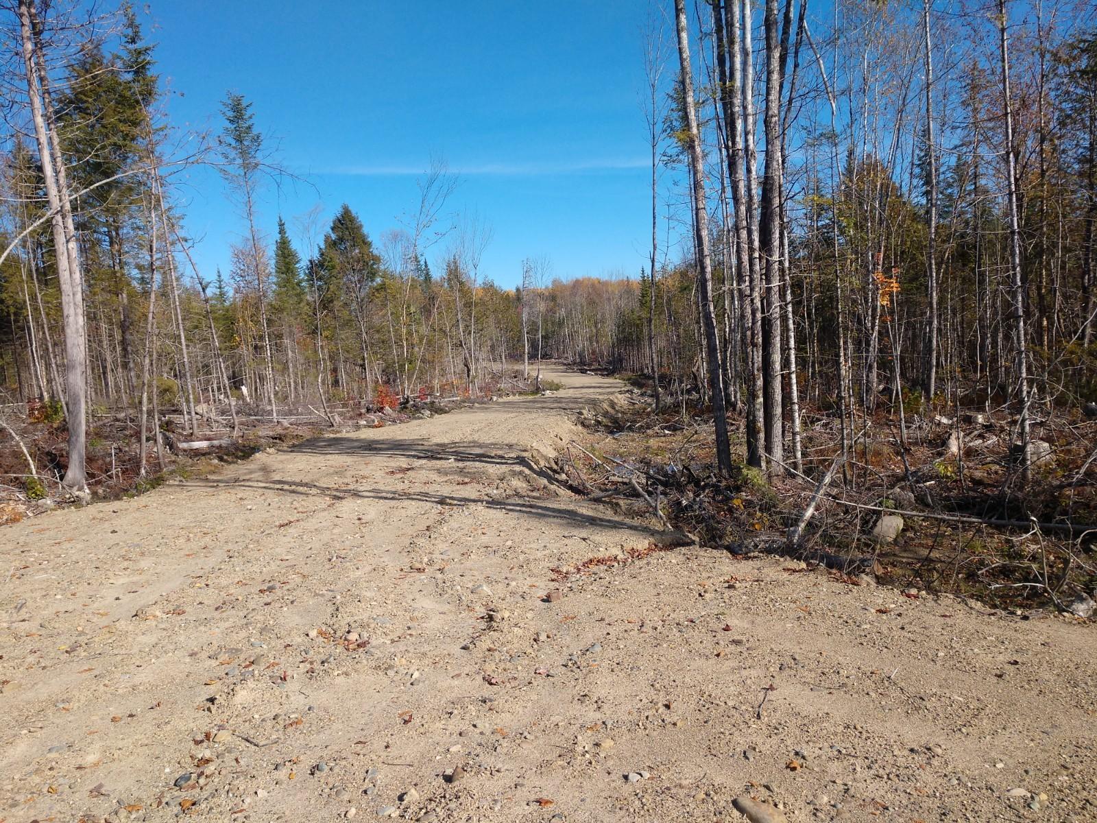 Lot 1 Bottle Lake Road Springfield, ME 04487 - Photo 6 of 11 IMG_20191016_135923606