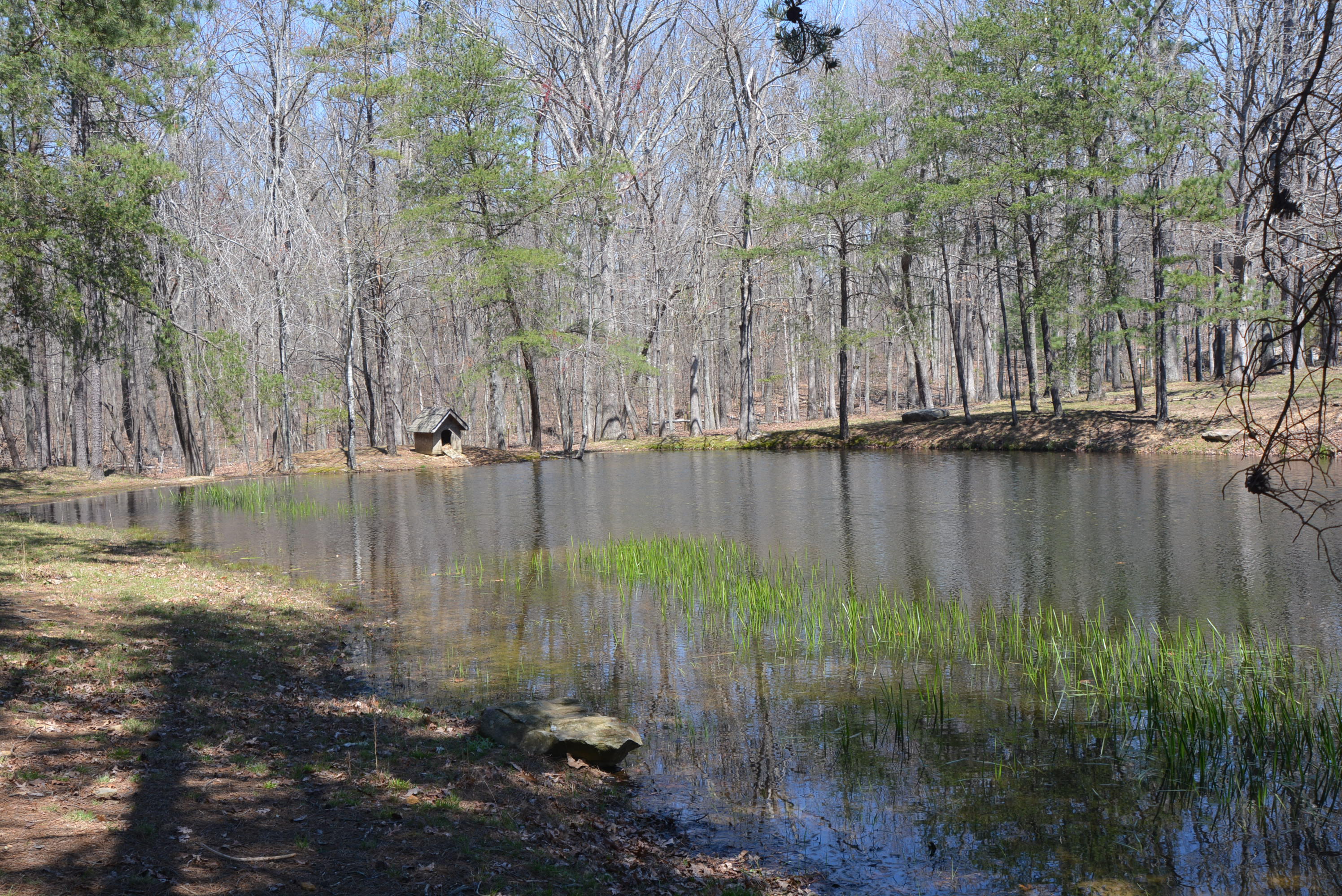 155 Cook Road Clarkrange, TN 38553 - Photo 29 of 38 DSC_0939