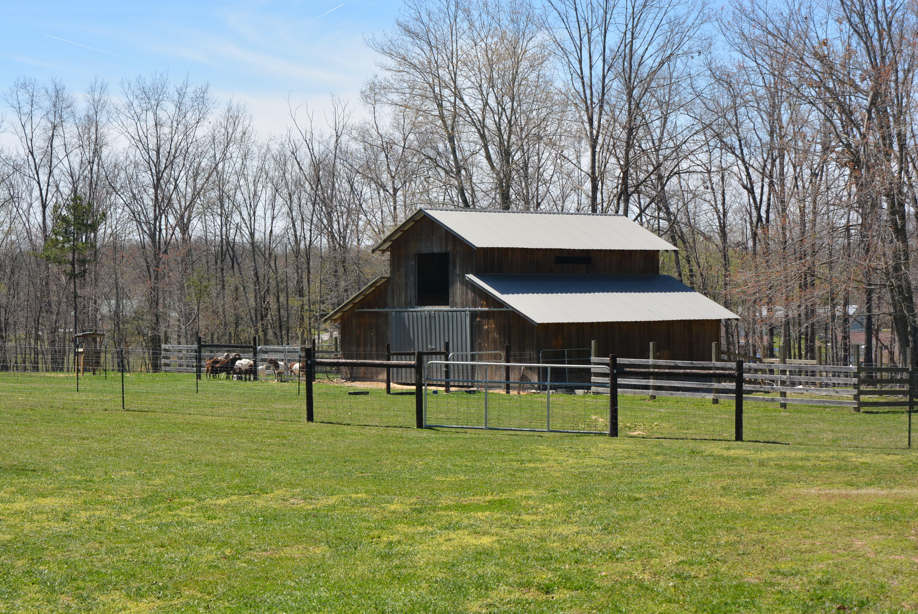 155 Cook Road Clarkrange, TN 38553 - Photo 32 of 38 DSC_0901
