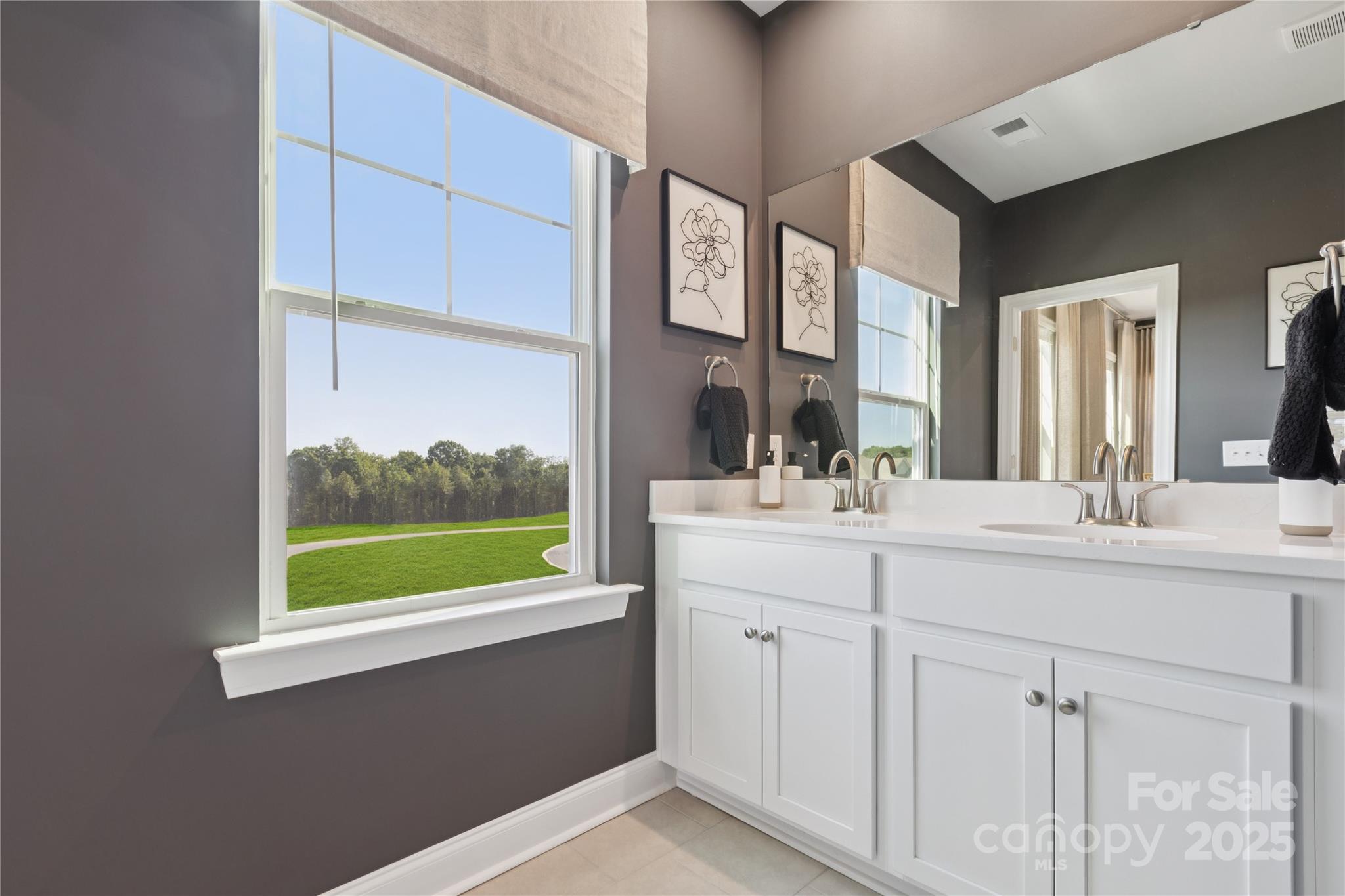 1828 Viewfield Road Fort Mill, SC 29708 - Photo 7 of 33 a bathroom with a double vanity sink and a large mirror