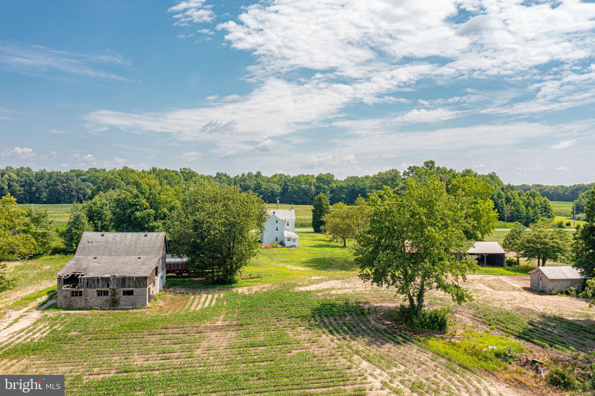 530 Penns Grove Auburn Road Penns Grove, NJ 08069 - Photo 11 of 36 a swimming pool with some trees in the background