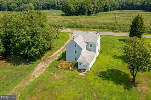 a view of a garden with a lake