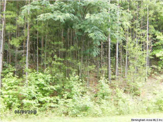4565 Shadow Ridge Parkway, Unit 29 Pinson, AL 35126 - Photo 5 of 12