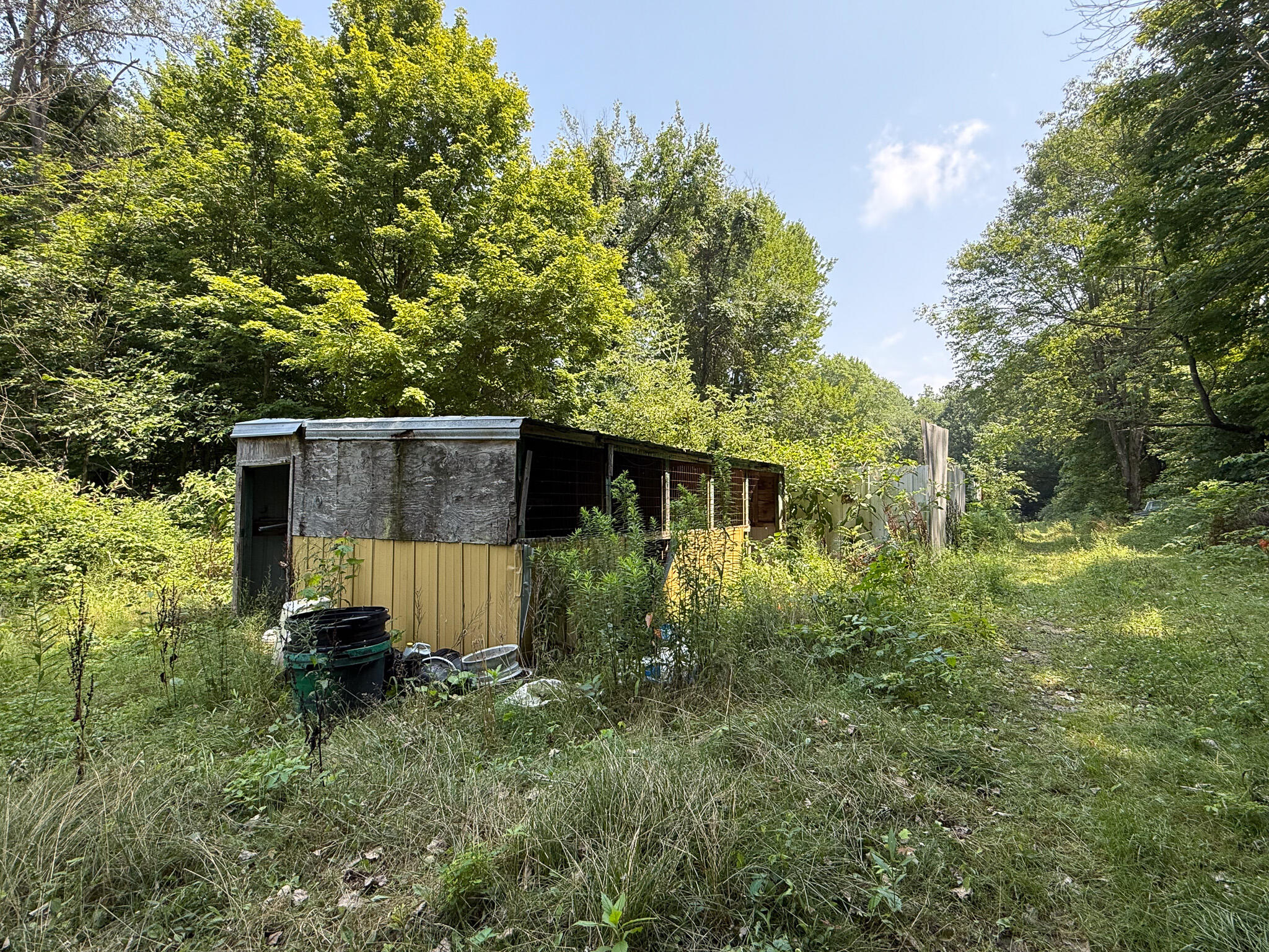 63467 Day Lake Road Cassopolis, MI 49031 - Photo 22 of 27 IMG_2388