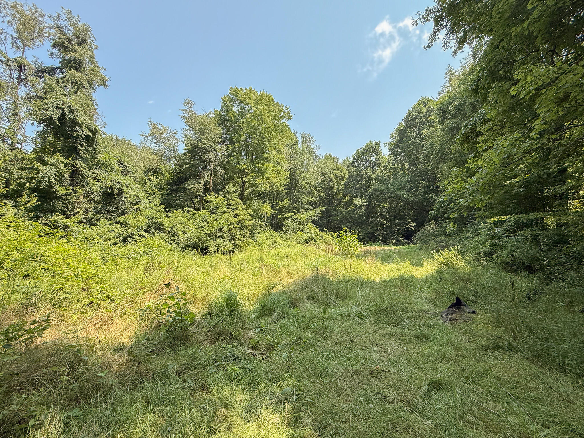 63467 Day Lake Road Cassopolis, MI 49031 - Photo 23 of 27 IMG_2389