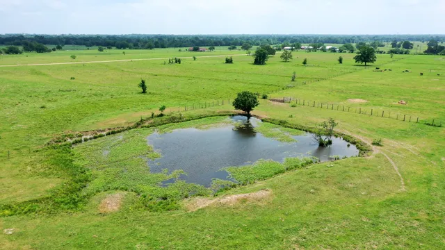 $779,500 | 30.0124 Acres Dutton Lane, Madisonville, TX 77864