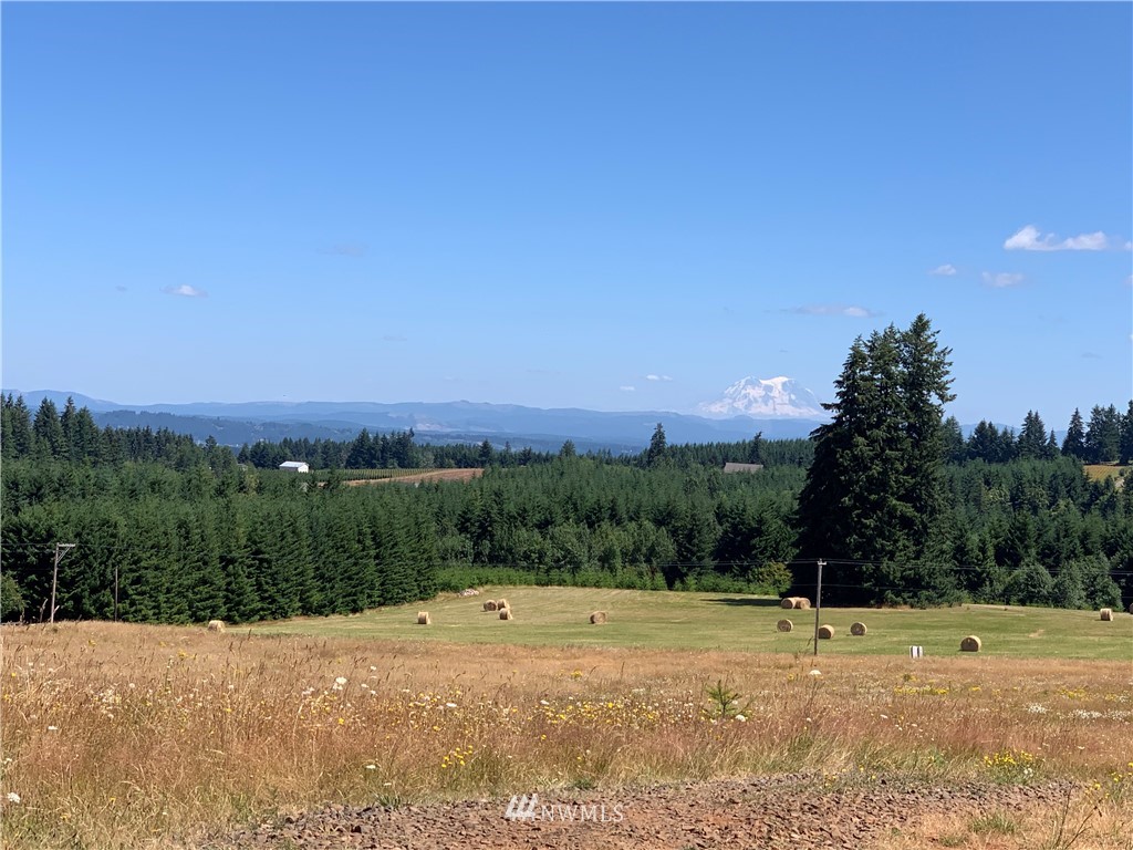 152 Fuller Road, Unit A Chehalis, WA 98532 - Photo 1 of 7