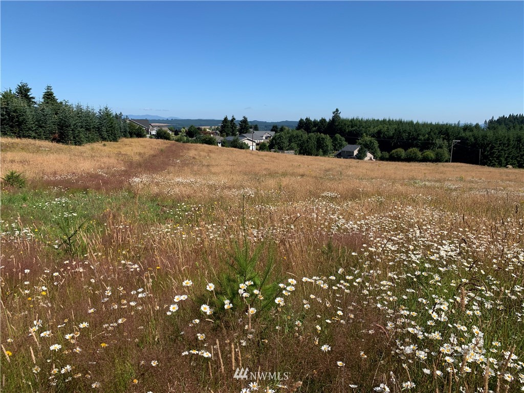 152 Fuller Road, Unit A Chehalis, WA 98532 - Photo 3 of 7