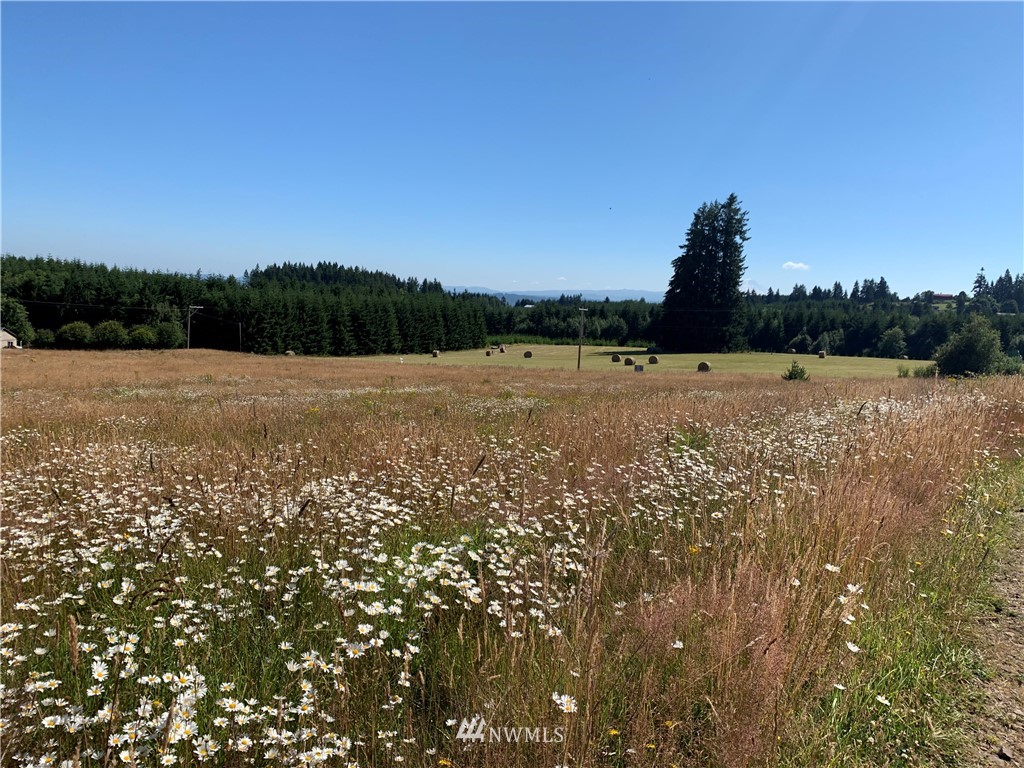152 Fuller Road, Unit A Chehalis, WA 98532 - Photo 4 of 7