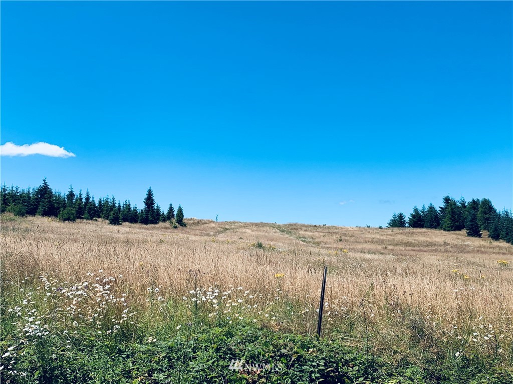 152 Fuller Road, Unit A Chehalis, WA 98532 - Photo 6 of 7