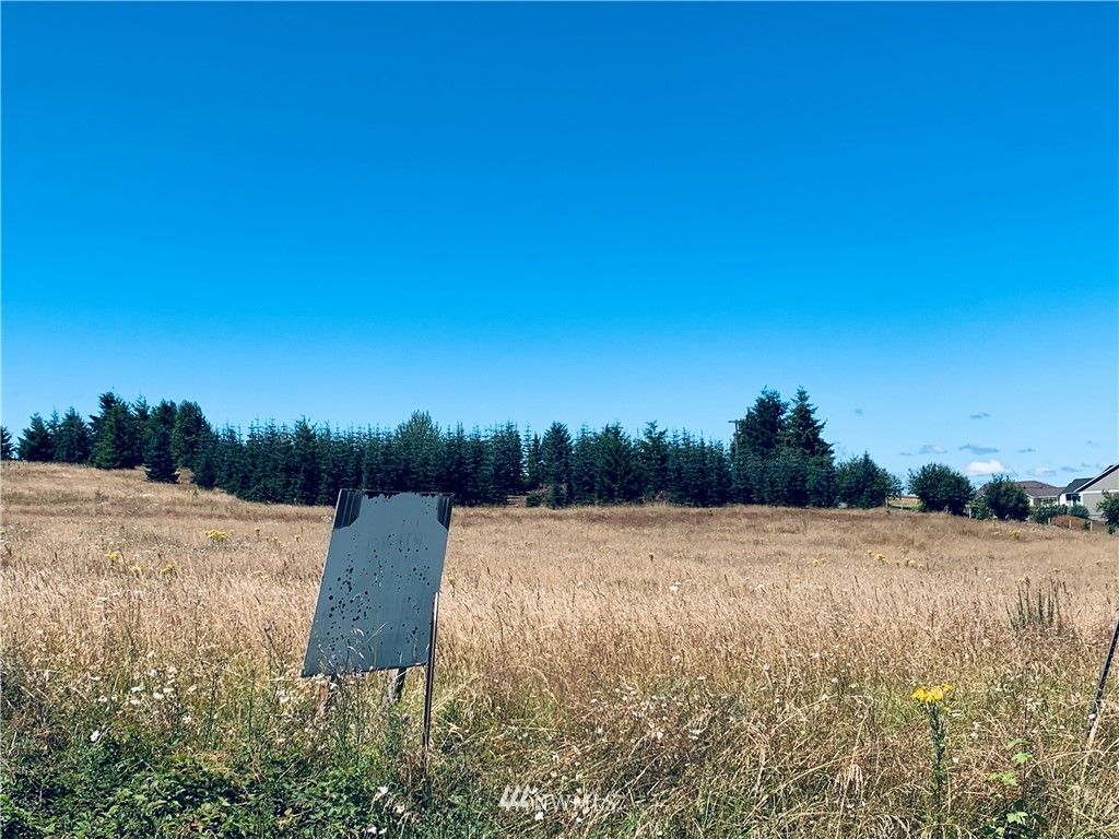 152 Fuller Road, Unit A Chehalis, WA 98532 - Photo 7 of 7
