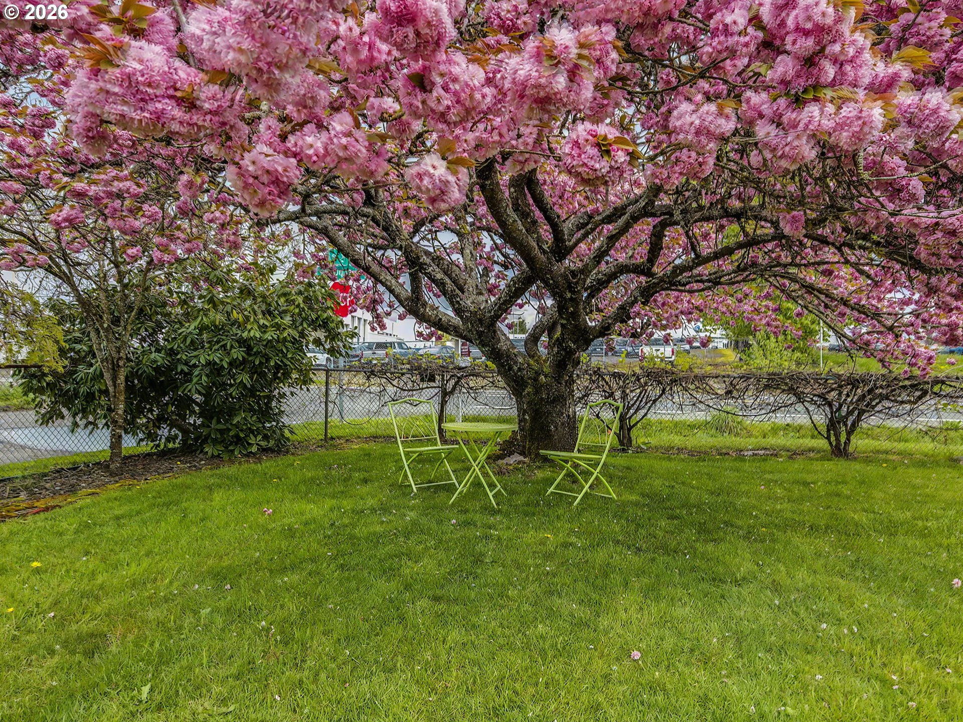 1780 Southeast 2nd Place Gresham, OR 97080 - Photo 24 of 25 a green field with lots of trees