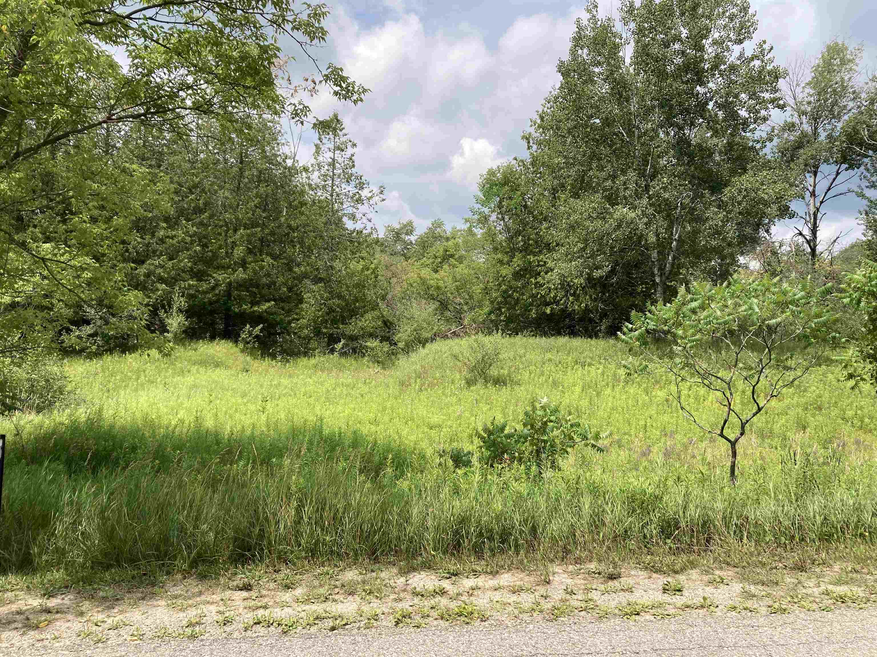 N/a Beachwood Road Rose City, MI 48654 - Photo 2 of 20 1947885-512CCA78-D819-4A90-B875-0B0422AB6E6A.JPG