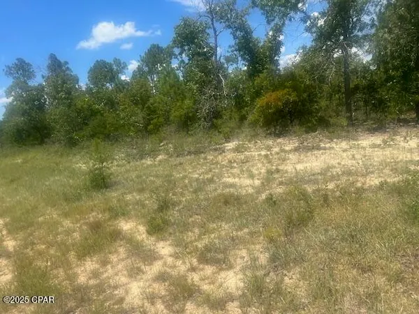 $14,300 | Tbd Cachet Court, Unit 9, Chipley, FL 32428