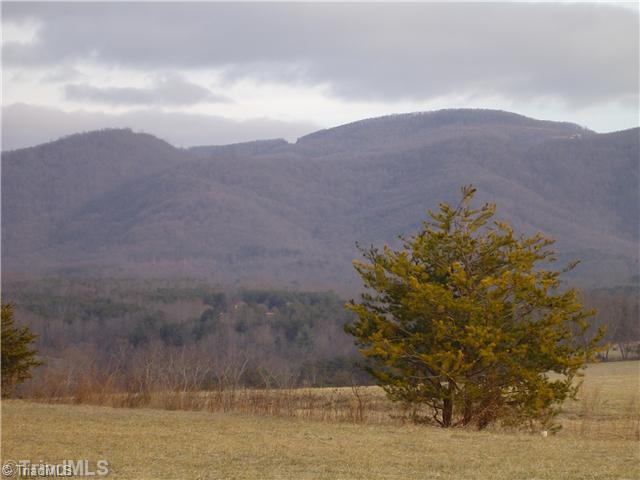 1752 Swaringen Road Traphill, NC 28685 - Photo 1 of 14 Land/Lot.