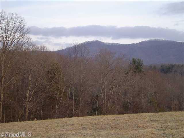 1752 Swaringen Road Traphill, NC 28685 - Photo 11 of 14 Land/Lot.