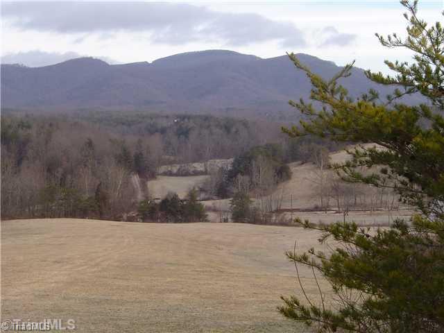 1752 Swaringen Road Traphill, NC 28685 - Photo 12 of 14 Land/Lot.