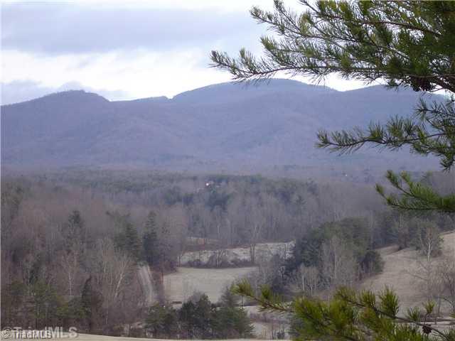 1752 Swaringen Road Traphill, NC 28685 - Photo 13 of 14 Land/Lot.