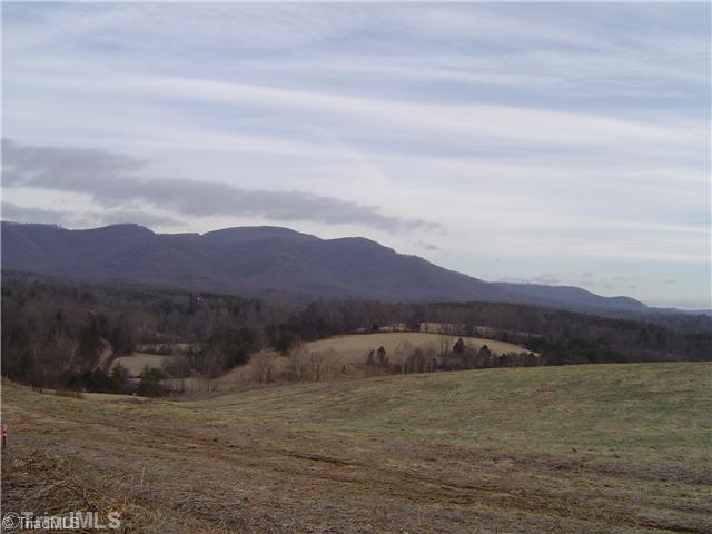 1752 Swaringen Road Traphill, NC 28685 - Photo 14 of 14 Land/Lot.