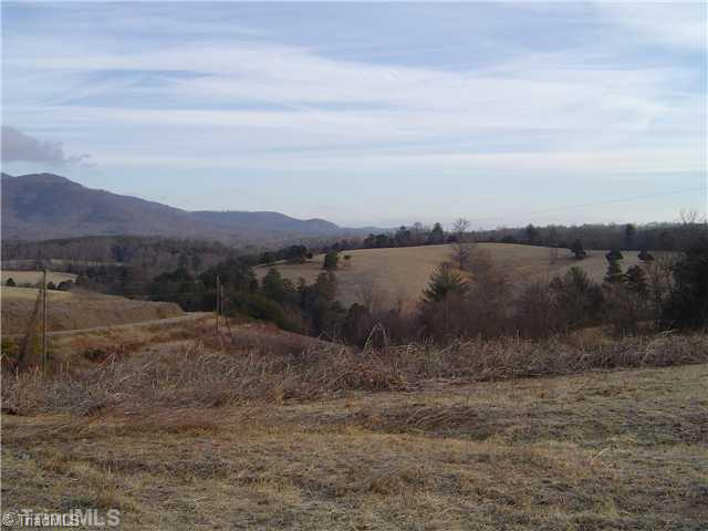 1752 Swaringen Road Traphill, NC 28685 - Photo 3 of 14 Land/Lot.