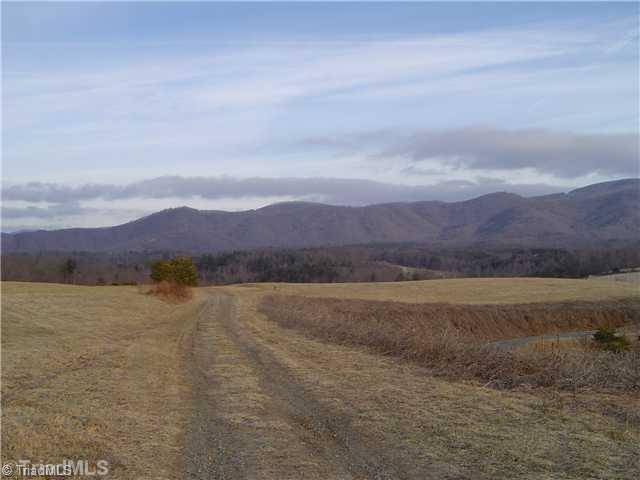 1752 Swaringen Road Traphill, NC 28685 - Photo 6 of 14 Land/Lot.