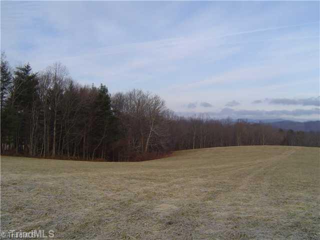 1752 Swaringen Road Traphill, NC 28685 - Photo 7 of 14 Land/Lot.