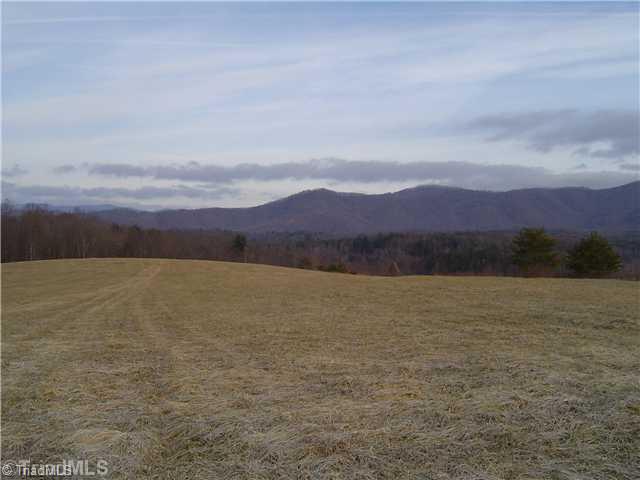 1752 Swaringen Road Traphill, NC 28685 - Photo 8 of 14 Land/Lot.
