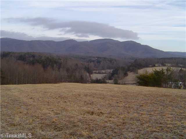 1752 Swaringen Road Traphill, NC 28685 - Photo 9 of 14 Land/Lot.