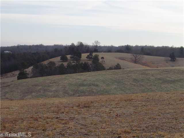 1752 Swaringen Road Traphill, NC 28685 - Photo 10 of 14 Land/Lot.