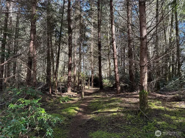 $199,950 | 1 East Case View Place, Shelton, WA 98584