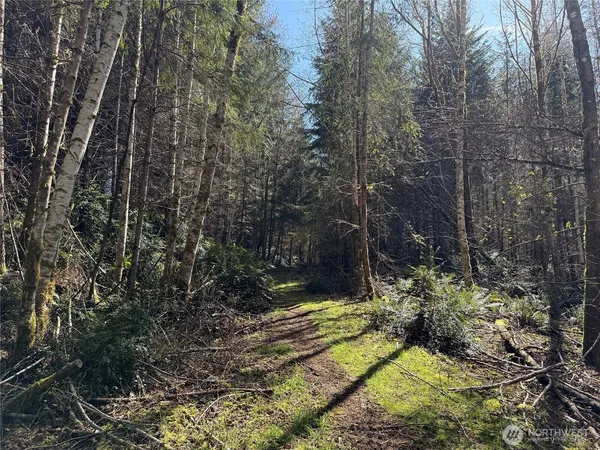 $199,950 | 1 East Case View Place, Shelton, WA 98584