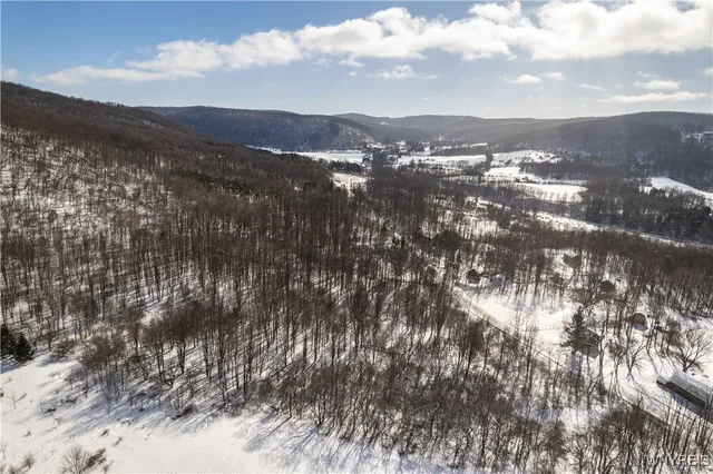 $199,000 | V/l Kent Road, Little Valley, NY 14755