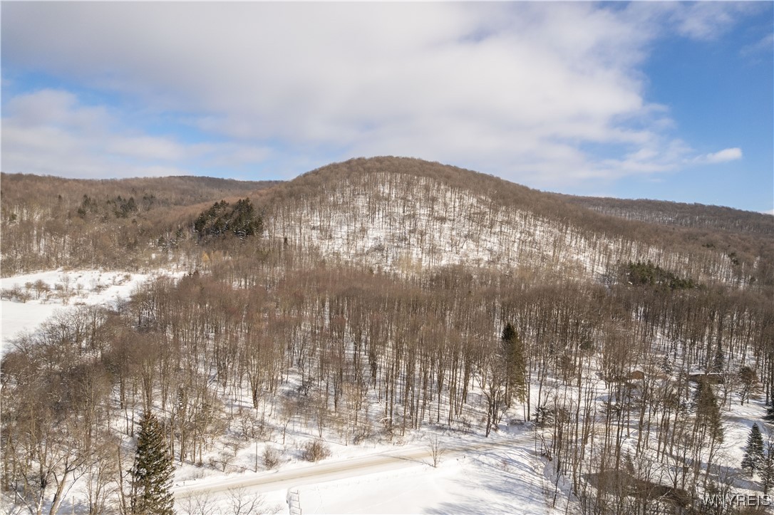 V/l Kent Road Little Valley, NY 14755 - Photo 2 of 7