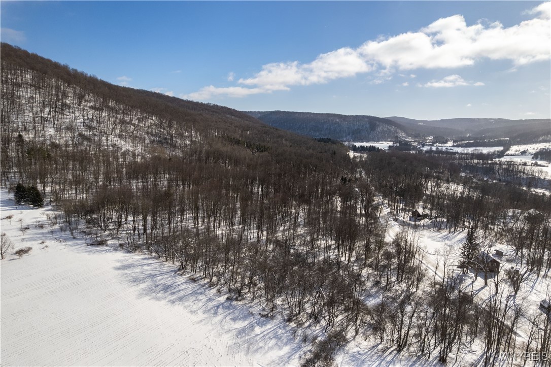 V/l Kent Road Little Valley, NY 14755 - Photo 5 of 7