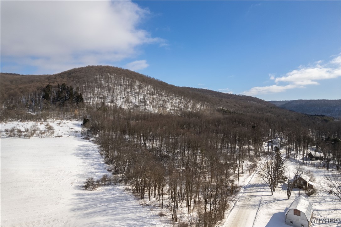 V/l Kent Road Little Valley, NY 14755 - Photo 6 of 7