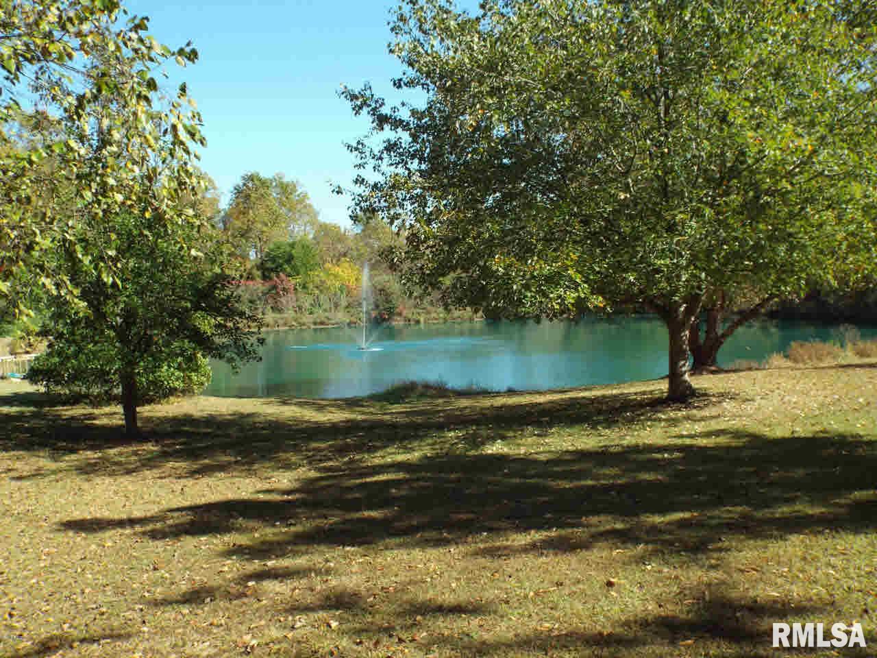 357 Egret Lake Road Carbondale, IL 62903 - Photo 45 of 49