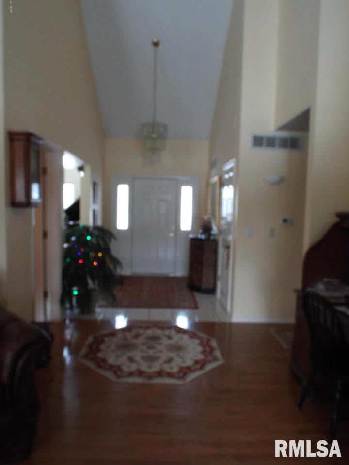 357 Egret Lake Road Carbondale, IL 62903 - Photo 6 of 49