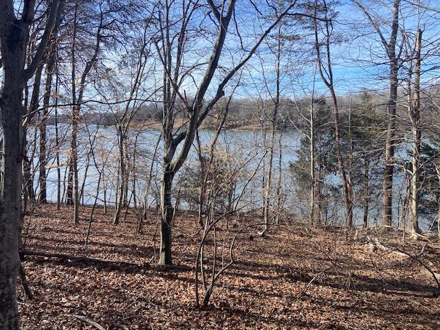 Lot 11 Waterway Pointe Point Goodview, VA 24095 - Photo 12 of 15 a backyard of a house with lots of green space