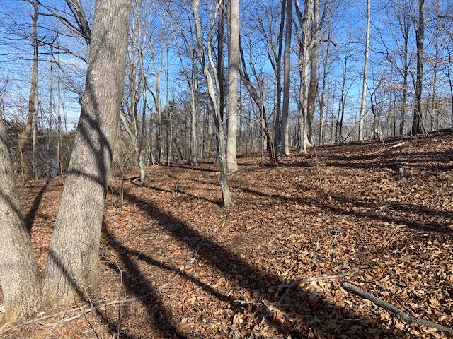 Lot 11 Waterway Pointe Point Goodview, VA 24095 - Photo 14 of 15 a view of a yard with trees